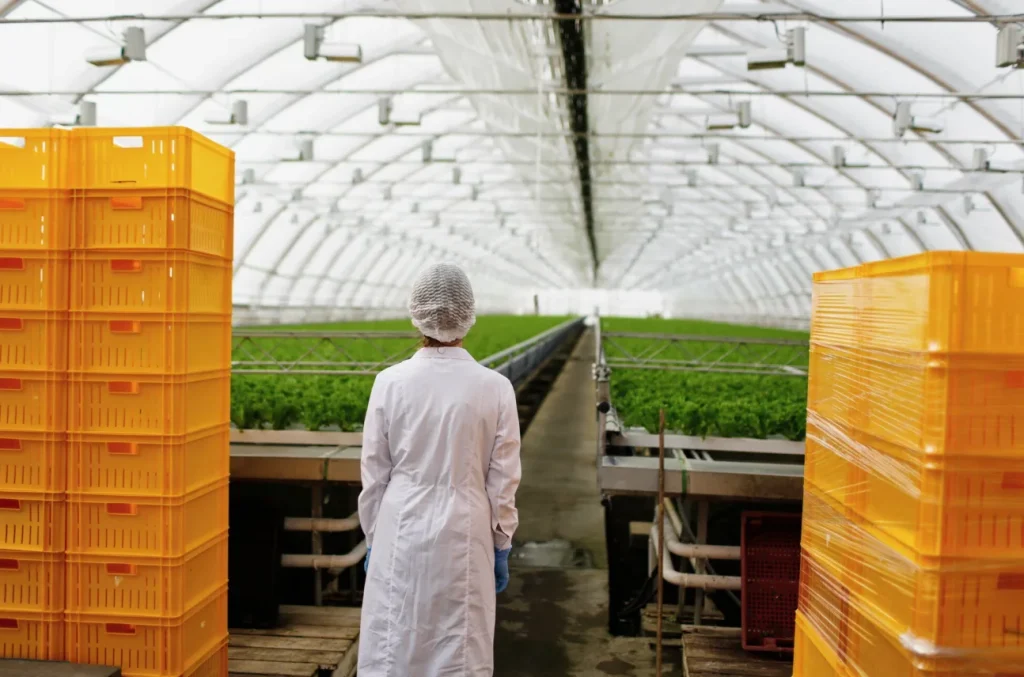 تماس با شرکت کاوشگران یاشیل مواد یاخته آذربایجان