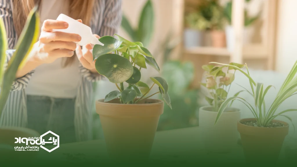 بهترین کود برای گیاهان آپارتمانی