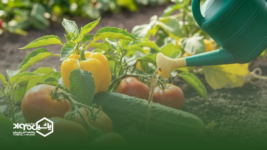راهنمای انتخاب کود صیفی جات