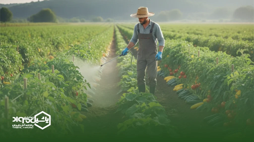 بهترین کود برای صیفی جات کدام است؟